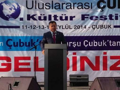    10. Çubuk Turşu ve Kültür Festivali 2014