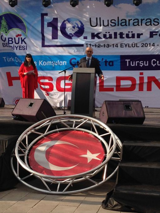    10. Çubuk Turşu ve Kültür Festivali 2014