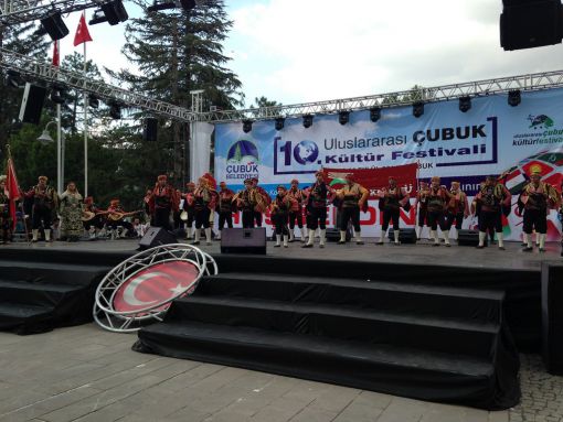    10. Çubuk Turşu ve Kültür Festivali 2014