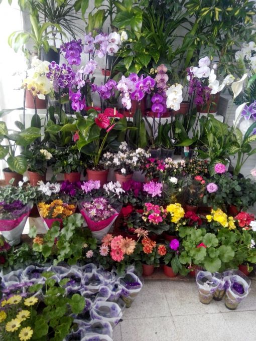 çubuk çiçekçi, çubuk çiçek, çubuk çiçekçilik ve organizasyon